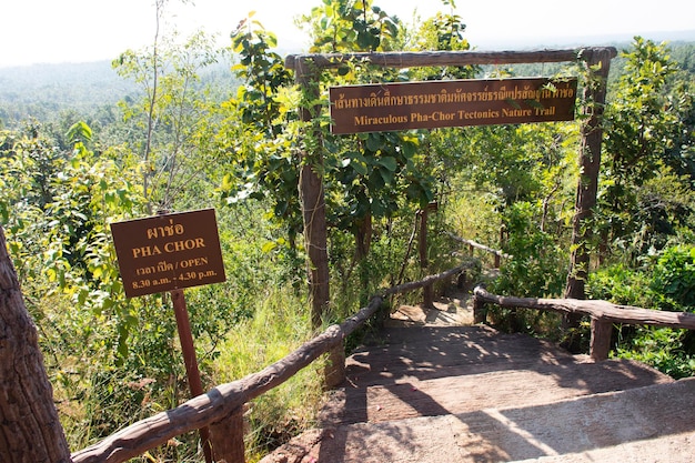 Chemin d'escaliers dans la jungle pour les thaïlandais et les marcheurs étrangers aller visiter les falaises du canyon Pha Chor forêt sauvage du parc national de Mae Wang à la ville de Doi Lo le 10 novembre 2020 à Chiang Mai Thaïlande