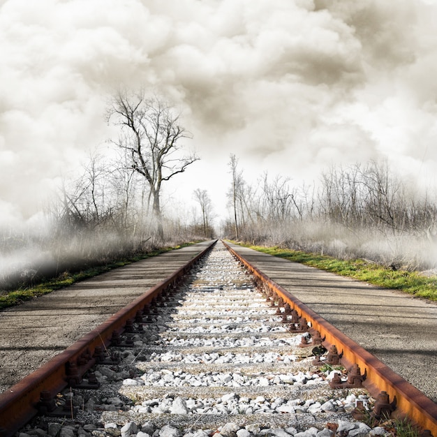 Chemin de fer dans un paysage brumeux