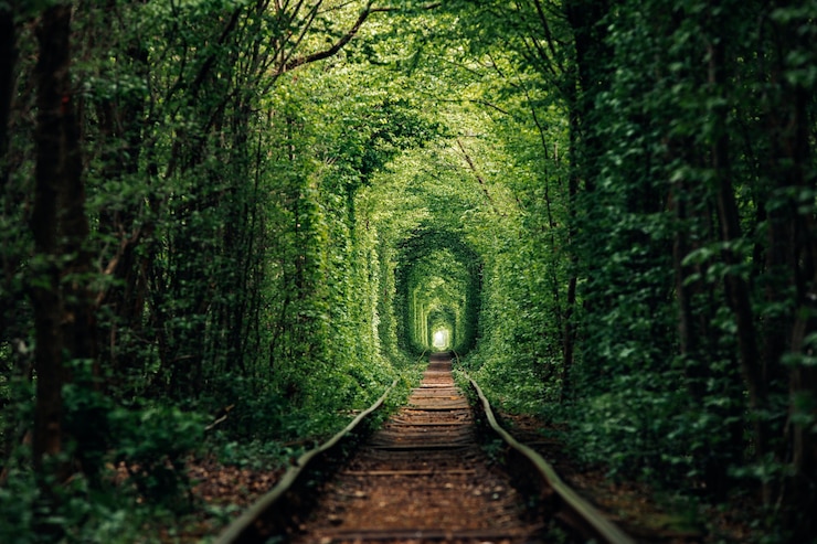 Photo un chemin de fer dans le tunnel de l'amour de la forêt printanière