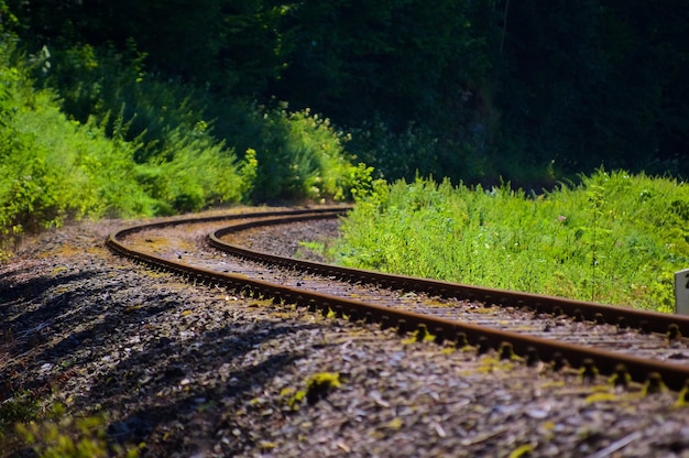 Chemin de fer incurvé dans la campagne
