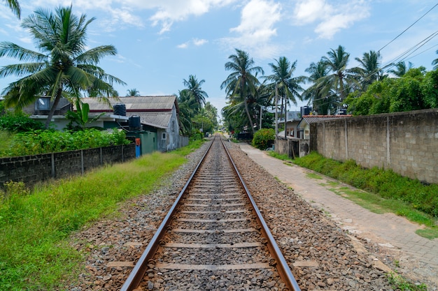 Chemin de fer parmi la végétation tropicale.