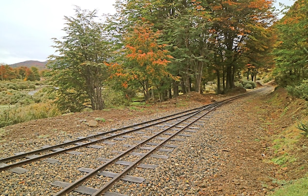 Le chemin de fer le plus au sud du monde à Ushuaia en Terre de Feu Argentine