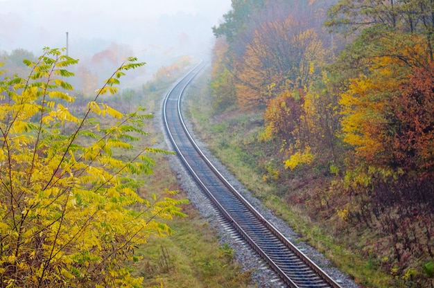 Le chemin de fer qui traverse la forêt d'automne, vue du dessus