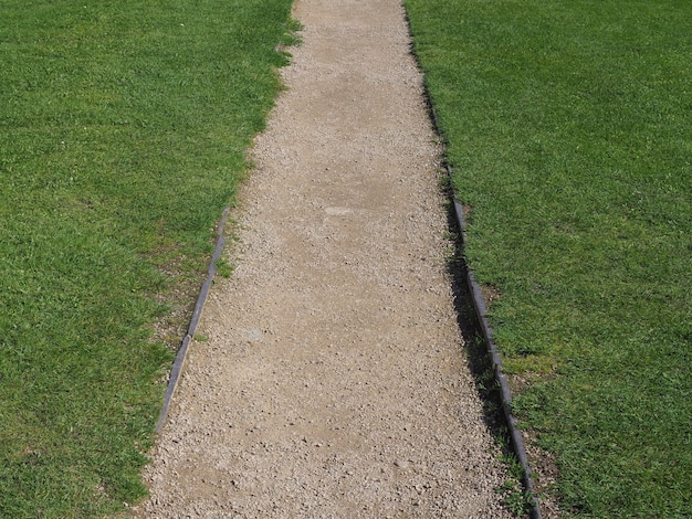 Chemin en fond d'herbe