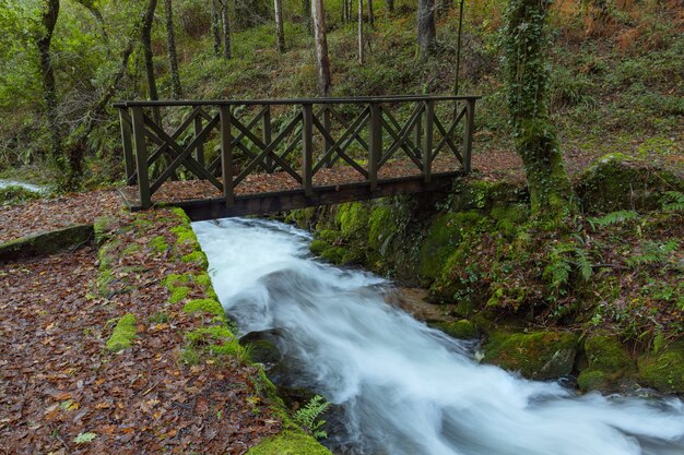 Chemin forestier parallèle à la rivière da Fraga