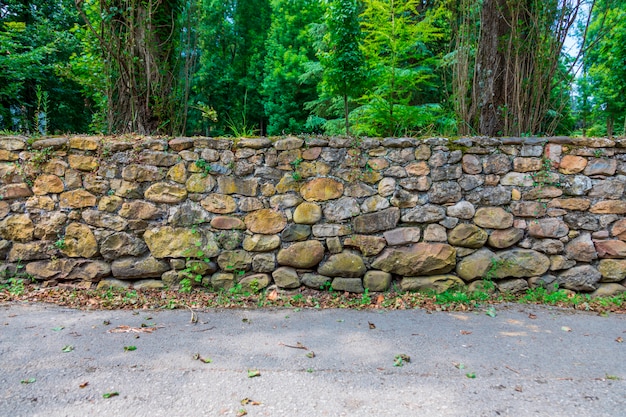 Chemin forestier avec vieux mur de pierre avec mousse et végétation