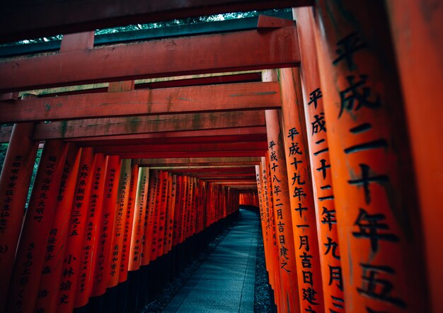 Le chemin fushimi-inari à Kyoto