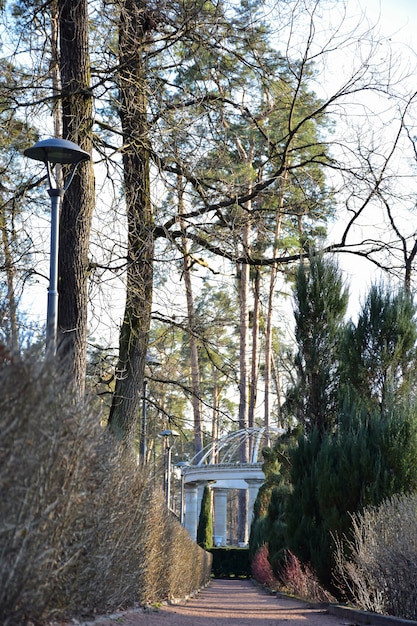 Chemin de gravier entre les buissons en perspective jusqu'au belvédère en pierre dans le parc