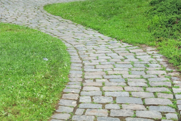 Un chemin avec une herbe verte et un chemin