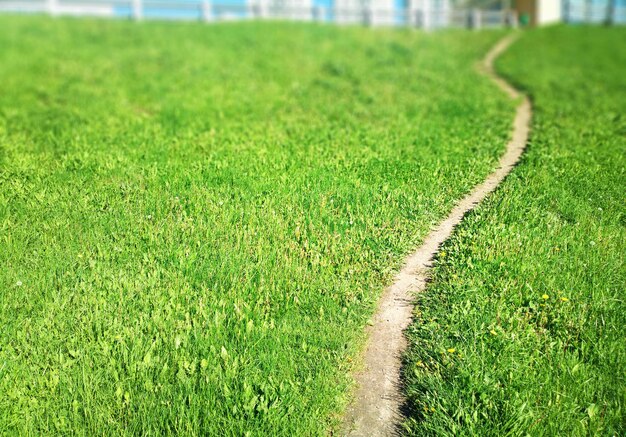 Chemin incurvé sur fond vert bokeh de pelouse d'été