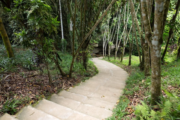 Chemin de jardin en pierre