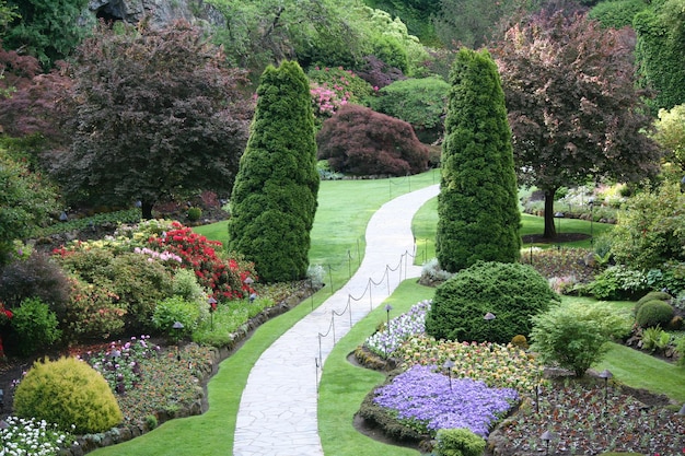 Chemin le long des plantes dans le parc