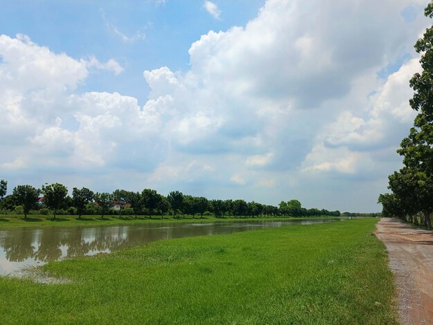 Photo un chemin le long de la rivière avec un champ herbeux et un ciel bleu avec des nuages.