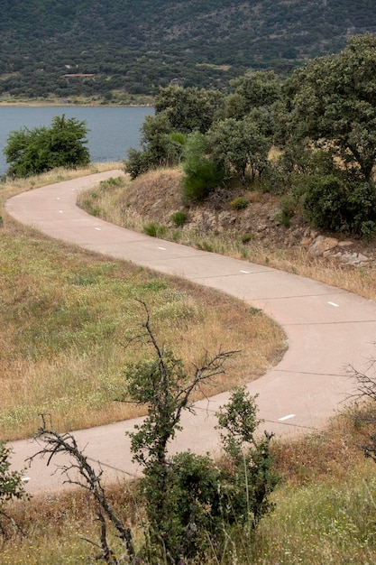 Un chemin long et sinueux dans la campagne qui traverse la prairie avec de jeunes arbres et un marécage en t