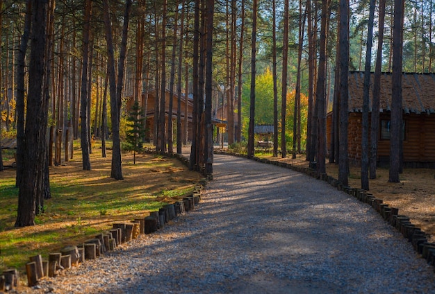 Le chemin et les maisons en bois dans les bois