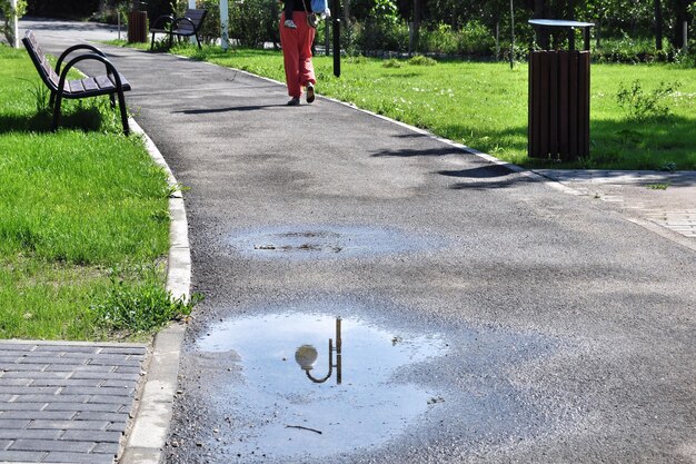 Chemin de marche dans le parc