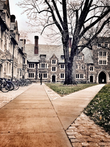 Photo chemin de marche menant au bâtiment