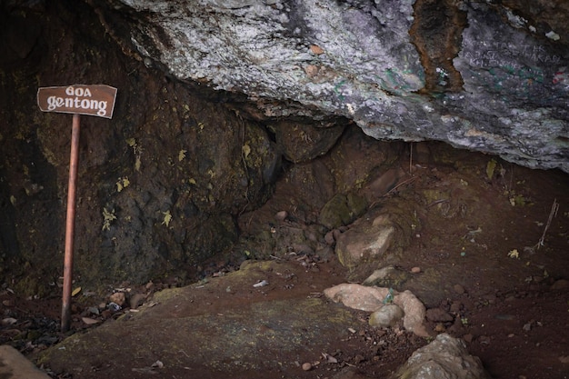 Le chemin menant à la grande grotte de la forêt tropicale au printemps