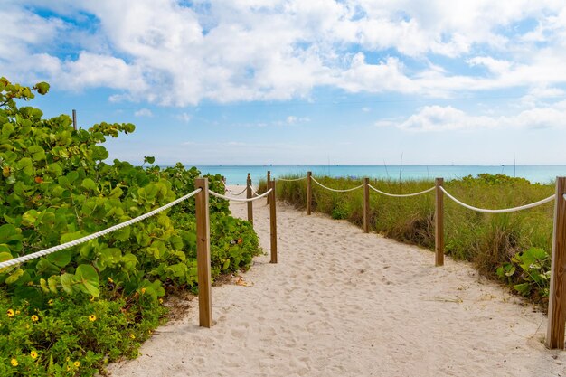 Le chemin mène aux vacances d'été d'accès à la plage