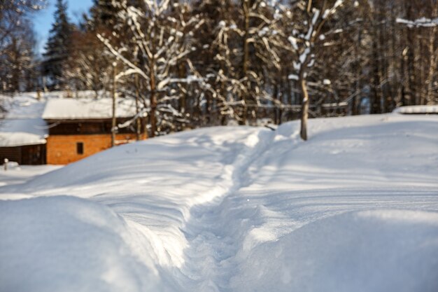 Chemin de neige en froide journée d'hiver