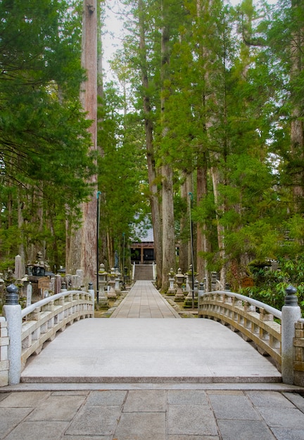 Photo le chemin à okunoin graveyard kayasan, wakayama, japon