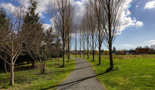 Chemin panoramique dans un parc avec champ vert et arbres dans une ville