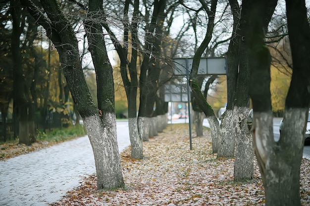 chemin parc d'automne / paysage d'automne, parc jaune dans les arbres et les feuilles d'automne, une belle journée ensoleillée dans le parc de la ville. la chute
