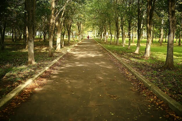 chemin parc d'automne / paysage d'automne, parc jaune dans les arbres et les feuilles d'automne, une belle journée ensoleillée dans le parc de la ville. la chute