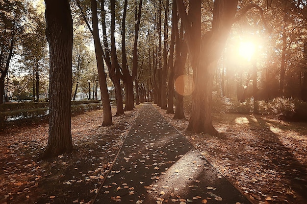chemin parc d'automne / paysage d'automne, parc jaune dans les arbres et les feuilles d'automne, une belle journée ensoleillée dans le parc de la ville. la chute