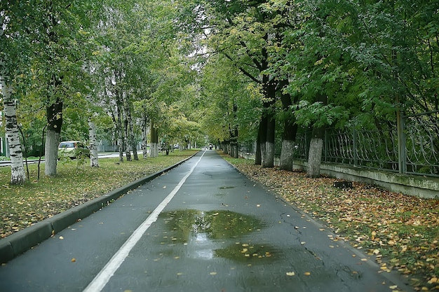 chemin parc d'automne / paysage d'automne, parc jaune dans les arbres et les feuilles d'automne, une belle journée ensoleillée dans le parc de la ville. la chute