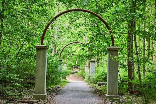 Chemin pavé courbé sous une voûte métallique dans une forêt verte luxuriante portail conte de fées