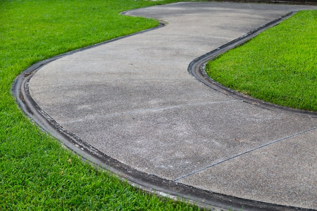 chemin à pied sur fond d&#39;herbe verte