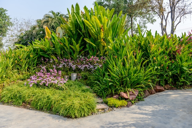 Chemin de pierre dans le jardin