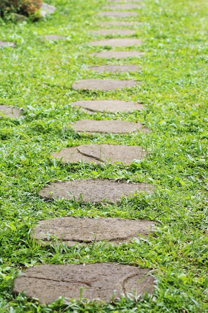 un chemin de pierre dans le parc