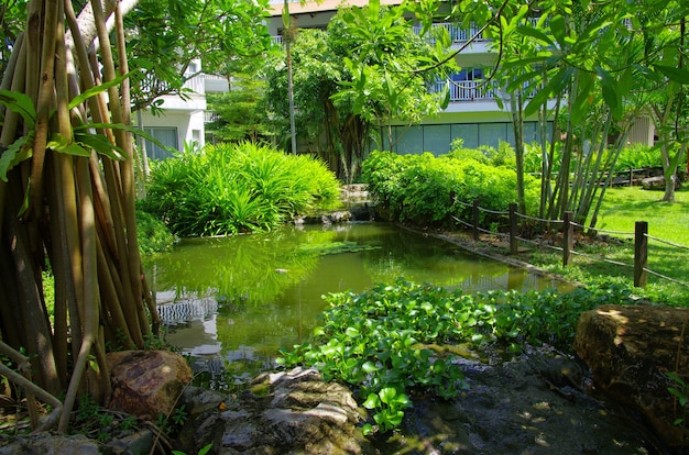 Chemin de pierre de jardin avec de l'herbe