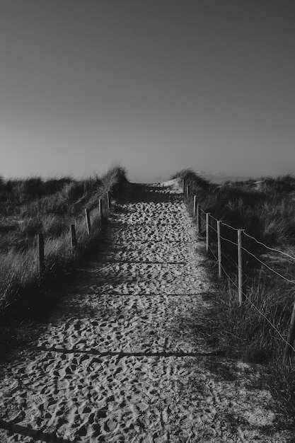 Le chemin de la plage en noir et blanc