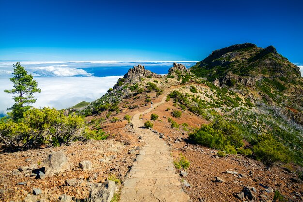 Chemin de randonnée vers le pic Ruivo