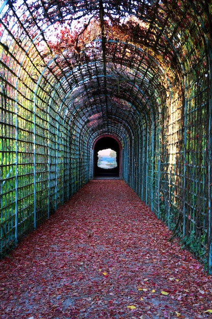 Chemin de randonnée vide dans le tunnel