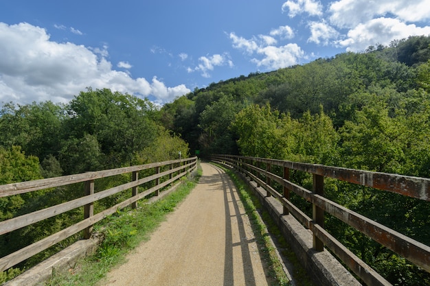 Chemin rural à travers un pont et ses clôtures