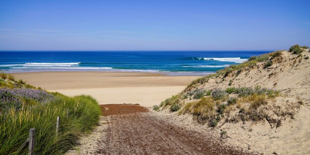 Chemin de sable en bois accès à la plage du Porge en gironde france