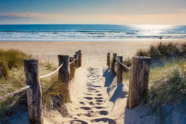 Chemin de sable le long de la plage de l'océan sur la côte d'un jour d'été