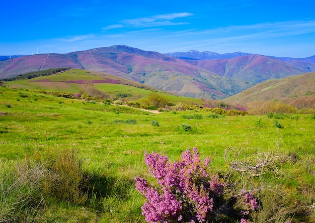 Le chemin de saint Jacques dans les montagnes roses de Léon