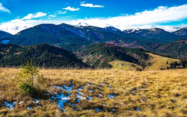 Un chemin sinueux d'herbe séchée menant loin dans les belles collines