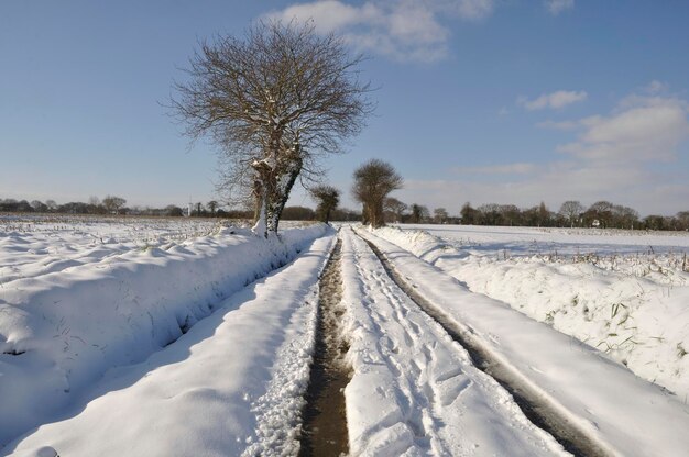 Photo chemin sous la neige en bretagne