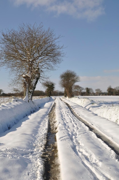 Chemin sous la neige en Bretagne