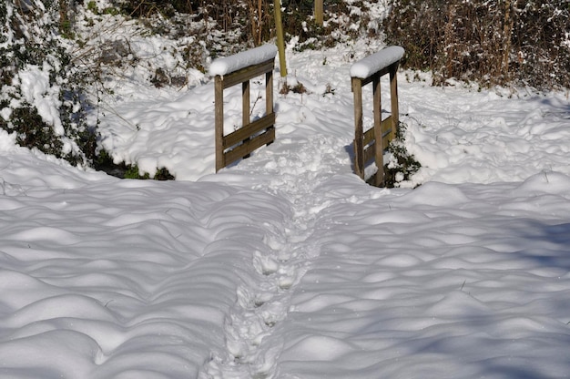 Chemin sous la neige en Bretagne