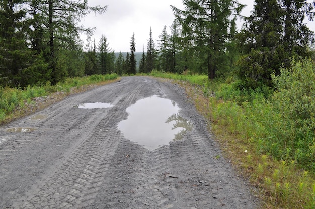 Chemin de terre après une pluie