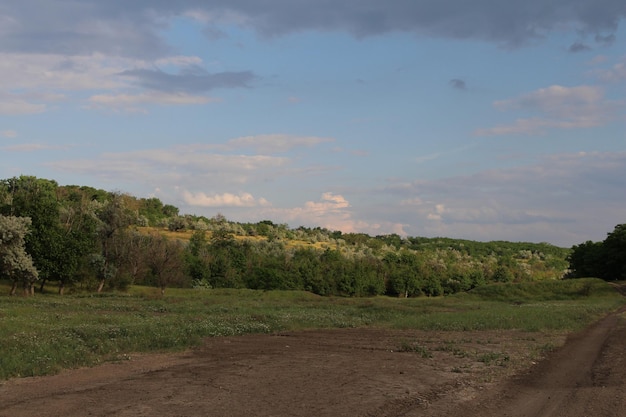 Un chemin de terre avec des arbres en arrière-plan