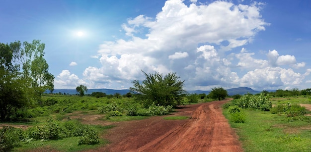 Chemin de terre à la campagne avec un ciel clair