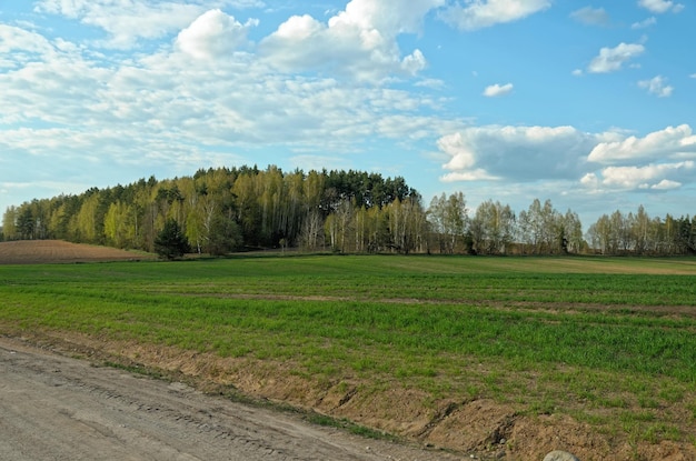 Photo un chemin de terre avec un champ et des arbres en arrière-plan